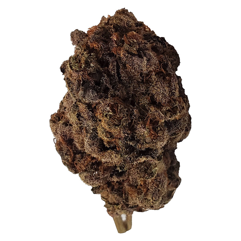 Purple Poison 28g Dried Flower